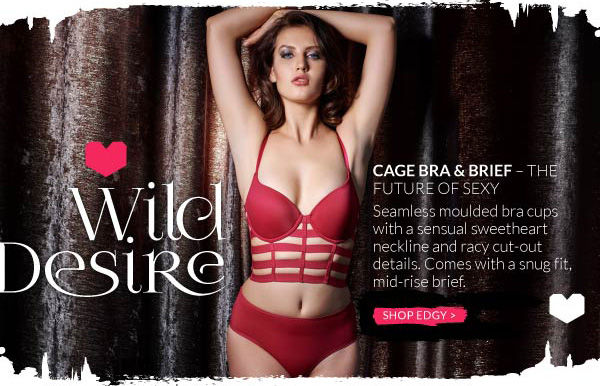 Valentine's collection of ultra-desirable lingerie.