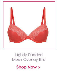 Amante Lightly Padded Mesh Overlay Bra With Lace In Between.