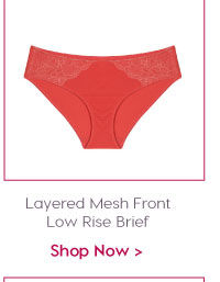 Amante Layered Mesh Front Low Rise Brief.