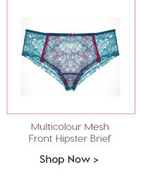 Penny Ultra Soft Lace With Multicolour Mesh Front Hipster Brief.
