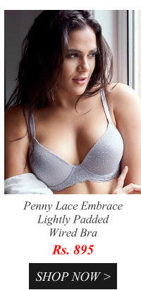 Penny Lace Embrace Lightly Padded Wired Bra With Shimmer Dots -Grey.