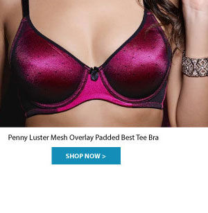 Penny Goddess 3-Section Wired Bra With Shaper Panel.