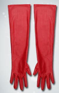 36 24 36 Lined Leather Long Length Gloves.