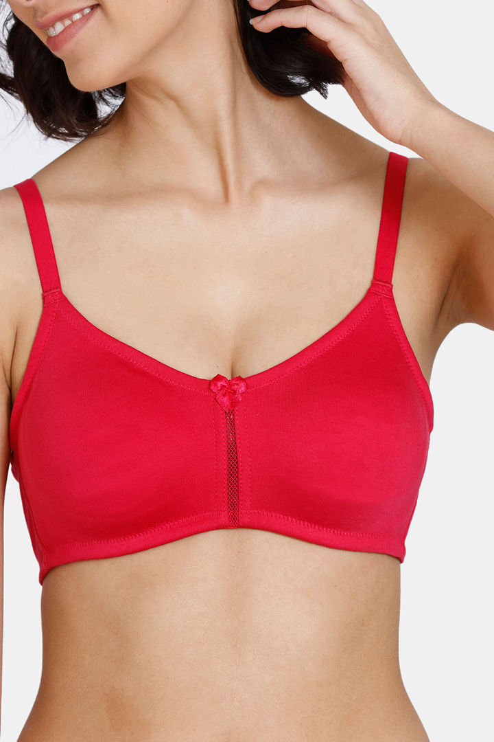 Rosaline Essentials Double Layered Non Wired 3 4th Coverage T Shirt Bra