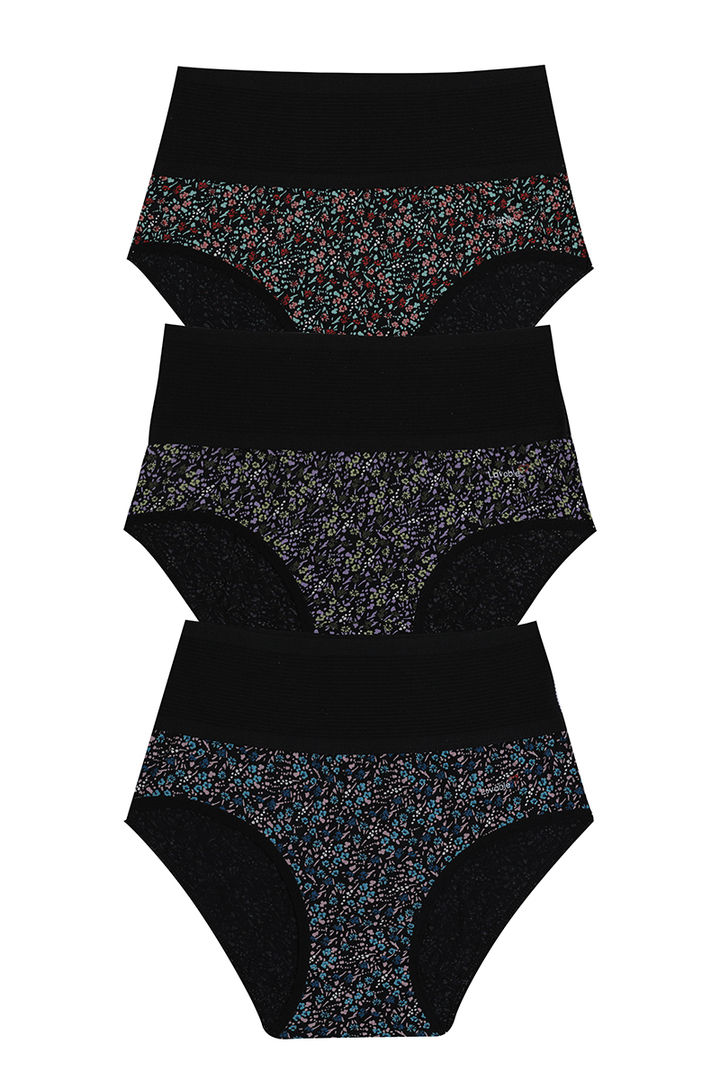 Lovable Mid Rise Tummy Trimmer Hipster Brief Pack of 3 Assorted