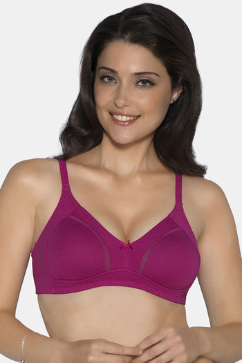 Buy Amante Semi Sheer Bridal Non Padded Underwired Bra-Violet at