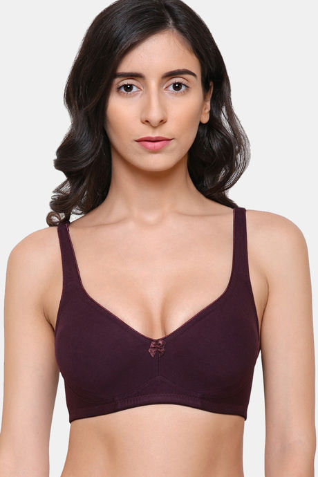 Buy Zivame Beautiful Basics Padded Non Wired 3/4th Coverage T-Shirt Bra -  Medieval Blue at Rs.449 online