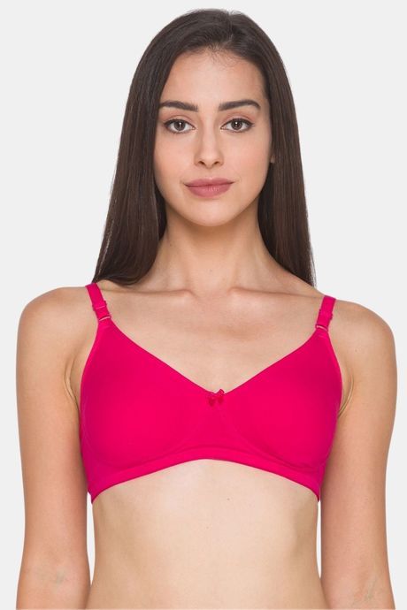 Buy Candyskin Padded Non Wired Full Coverage T-Shirt Bra - Rose at Rs.719  online
