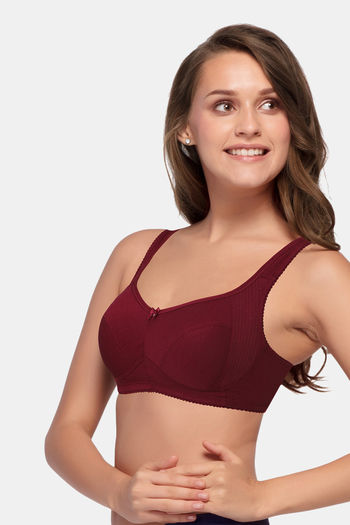 Buy Wine Bras for Women by Enamor Online