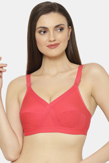 Buy Floret Double Layered Non Wired Full Coverage Super Support Bra - Nude  Tomato at Rs.778 online