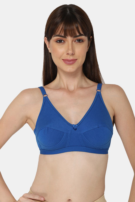https://cdn.zivame.com/ik-seo/media/zcmsimages/configimages/FH1007-Blue/1_large/naiduhall-non-wired-non-padded-medium-coverage-saree-bra-blue.JPG?t=1676446601