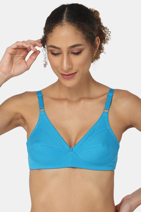 Buy Naidu Hall Single Layered Non Wired 3/4th Coverage Bra - Blue Atoll at  Rs.175 online