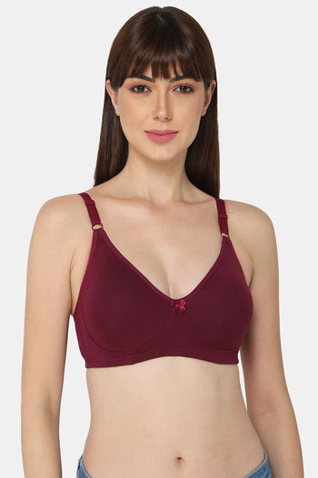 Buy Intimacy Single Layered Non Wired 3/4th Coverage T-Shirt Bra - Wine
