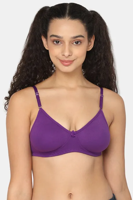 Buy Intimacy Single Layered Non Wired Medium Coverage T-Shirt Bra - Magic  Purple at Rs.290 online