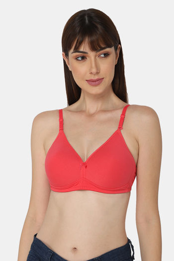 Zivame Beautiful Basics Double Layered Non Wired Full Coverage Backless Bra  - Beet Red