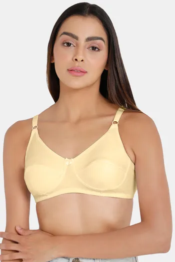 https://cdn.zivame.com/ik-seo/media/zcmsimages/configimages/FJ1039-Skin/1_medium/intimacy-single-layered-non-wired-medium-coverage-t-shirt-bra-skin.jpg?t=1676439131