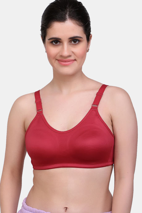 Buy Zivame Burgundy Solid Non Wired Lightly Padded T Shirt Bra ZI1137COREM  - Bra for Women 8998277