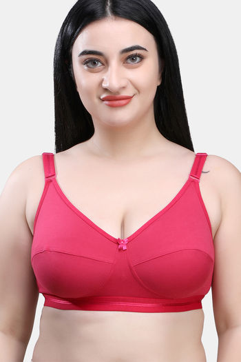 Buy Maroon Clothing Single Layered Non Wired Full Coverage Super