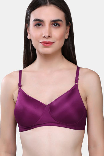 Buy Maroon Clothing Padded Non Wired Full Coverage T-Shirt Bra (Pack of 2)  - Maroon Purple at Rs.594 online