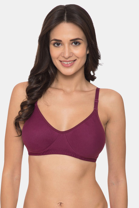 MAROON Nude Polycotton Non Padded Seamless Wirefree Women's Set of