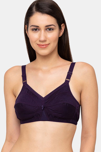 Buy Zivame Padded Wired Full Coverage Blouse Bra - Shark Skin at Rs.1800  online