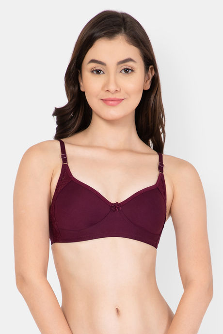 Buy Zivame Padded Wired 3/4th Coverage T-Shirt Bra - Botanical Garden at  Rs.405 online