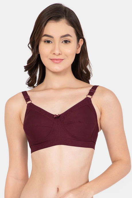 Buy Intimacy Padded Non Wired Medium Coverage T-Shirt Bra - Wine at Rs.445  online