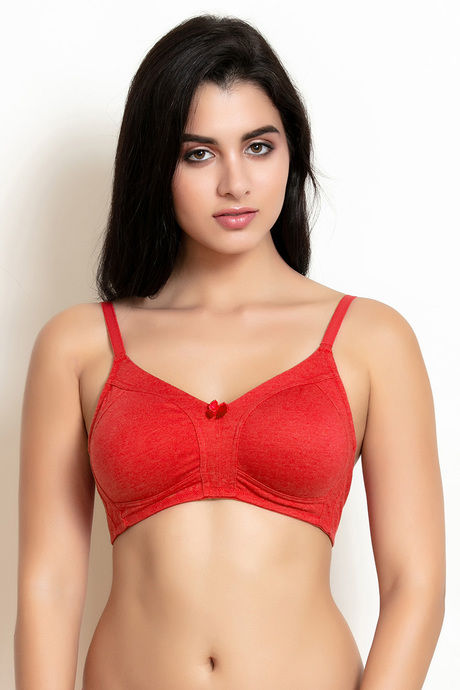 Rosaline Rerooted Simplicity Everyday Double Layered Non Wired 3/4th  Coverage T-Shirt Bra - Elegant Essentials