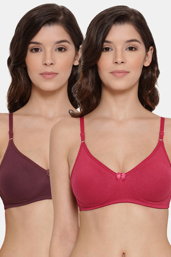 Buy Lyra Single Layered Non-Wired 3/4Th Coverage T-Shirt Bra (Pack of 2) - Wine Parryred