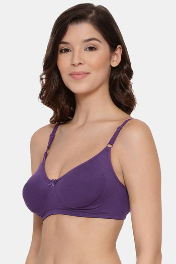 Buy Zivame Padded Non Wired 3/4th Coverage T-Shirt Bra - Apricot Orange at  Rs.360 online