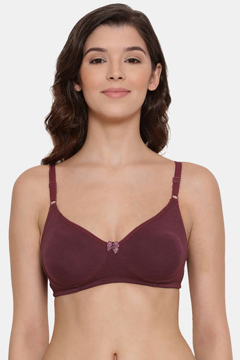 Buy Zivame Push-Up Wired Medium Coverage T-Shirt Bra - Blue Ribbon at  Rs.709 online