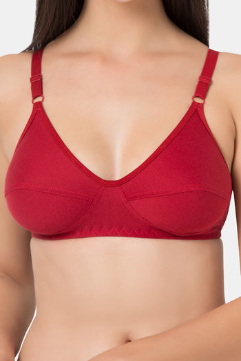 Buy Souminie Single Layered Non-Wired Full Coverage Minimiser - Coral at  Rs.257 online