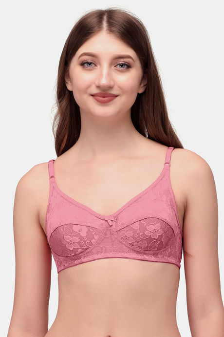 Buy Exotica Lingerie Single Layered Non Wired Medium Coverage Lace