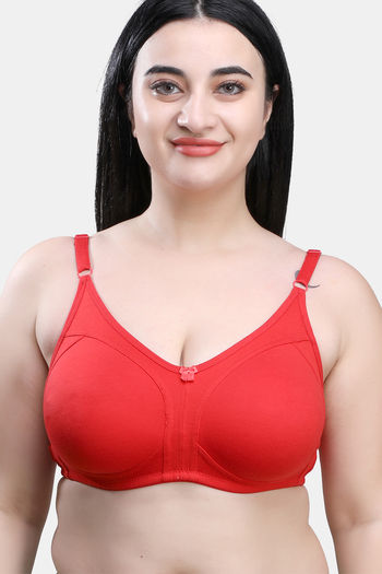 Buy Maroon & Black Bras for Women by SKDREAMS Online