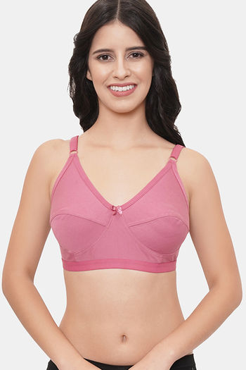 Buy LILY Everyday Single Layered Non Wired 3/4th Coverage Minimiser Bra -  Mauve at Rs.799 online