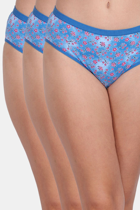 Buy PrettyCat Women Blue Floral Print Lace Low Rise Sexy Bikini Panty  Online at Best Prices in India - JioMart.