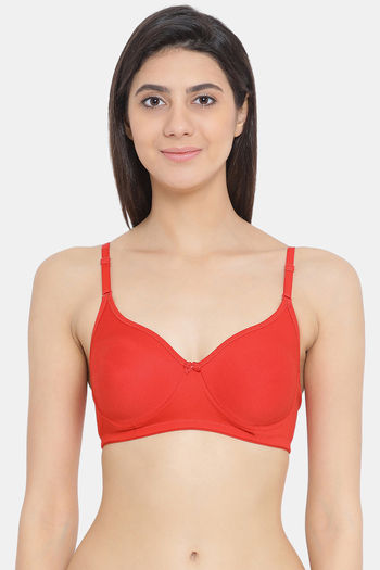 Buy Trylo Touche Woman Soft Padded Full Cup Bra - Dove -Grey Online