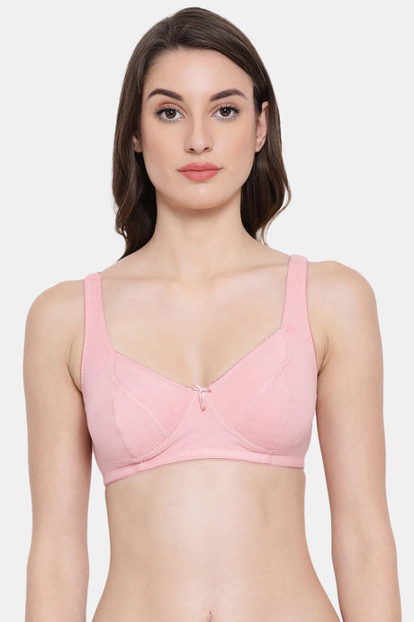 Clovia Double Layered Non Wired Full Coverage T-Shirt Bra - Pink