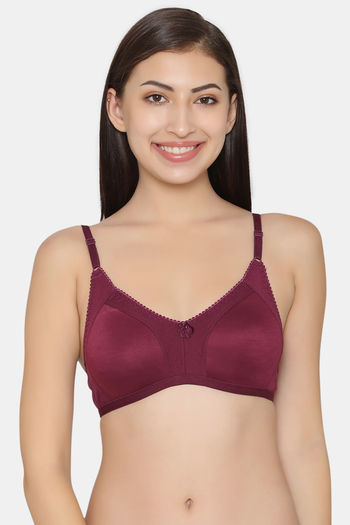 Buy Clovia Pink And Maroon Cotton Bra Set Of 2 Online at Low Prices in  India 