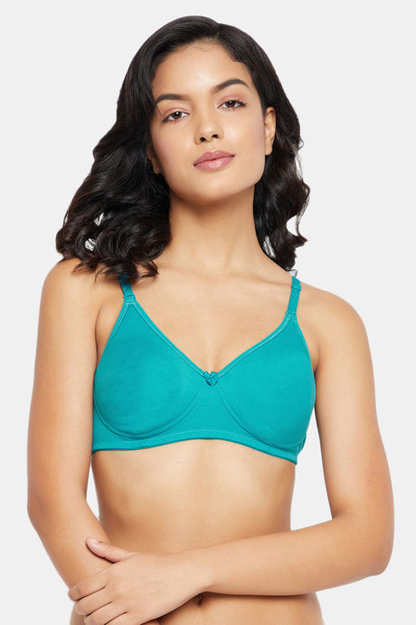 Buy Zivame Turquoise Blue Solid Non Wired Lightly Padded T Shirt Bra - Bra  for Women 9320529