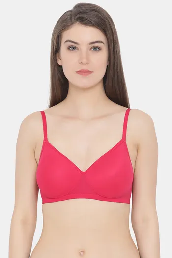 https://cdn.zivame.com/ik-seo/media/zcmsimages/configimages/RB1629-Pink/1_medium/clovia-padded-non-wired-full-coverage-t-shirt-bra-pink-18.jpg?t=1658919168