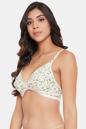 Buy Zivame Snuggle Up Padded Non Wired 3/4th Coverage Basic Bra - Terra  Cotta at Rs.398 online