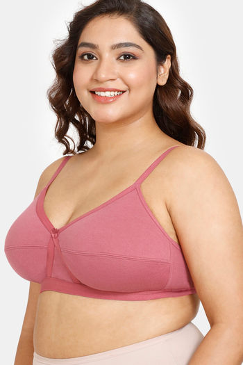 Buy Amante Padded Non Wired Full Coverage Lace Bra - Malaga at Rs