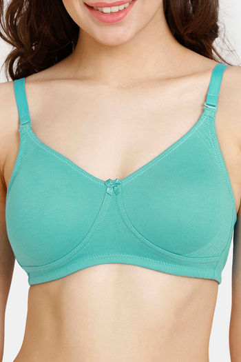 Buy Rosaline Everyday Double Layered Non Wired 3/4th Coverage T-Shirt Bra -  Baltic at Rs.300 online