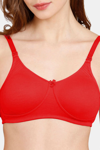Buy Rosaline Everyday Double Layered Non Wired 3/4th Coverage T-Shirt Bra -  Rhythmic Red at Rs.300 online