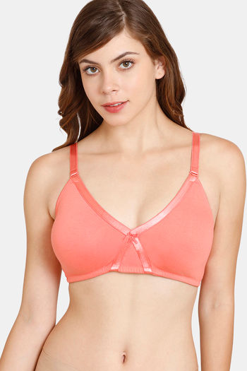 Buy Rosaline Everyday Double Layered Non Wired 3/4th Coverage T-Shirt Bra -  Georgia Peach at Rs.699 online