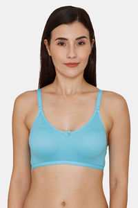 Buy Rosaline Double Layered Non Wired 3/4th Coverage T-Shirt Bra - Bachelor Button