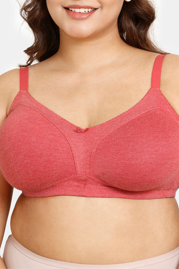 Buy Rosaline Everyday Double Layered Non Wired 3/4th Coverage Bralette -  Salmon Pt at Rs.275 online