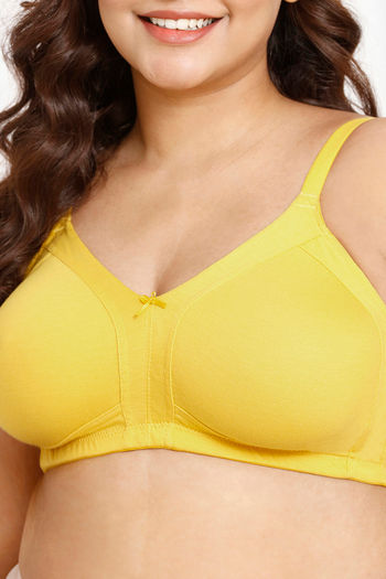 Buy Rosaline Everyday Double Layered Non Wired 3/4th Coverage Lace Bra -  Fjord Blue at Rs.315 online