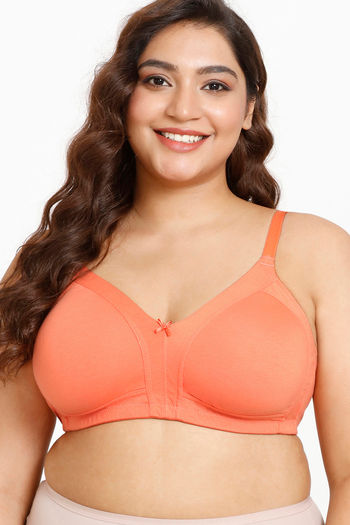 Buy Zivame Rosaline Everyday Non-Wired Full Coverage Super Support Bra  Syrah-Maroon online